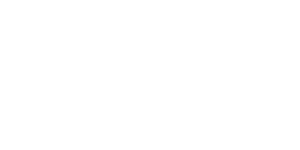 vc-ESS-logo-white.png