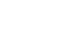 vc-Stroke-Foundation-logo-white.png
